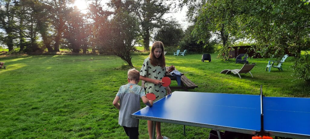 Als je in de familiekamer logeert kan je ook lekker tafeltennissen in de grote tuin.