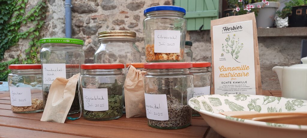 Introduction à l'utilisation des herbes et une dégustation de tisanes maison